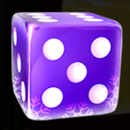 Respin Joker 81 Xmas Dice paytable SYmbol 5