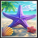 The Tipsy Tourist Beach Bonanza – Hold & Win Starfish