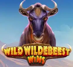 Wild Wildebeest Wins Thumbnail