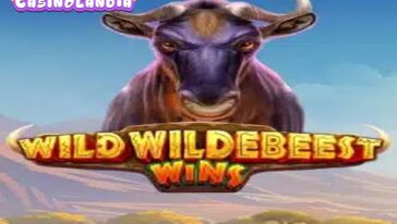 Wild Wildebeest Wins by Pragmatic Play