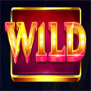 20 Hot Wilds Boost Wild