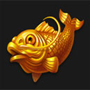 Fury Dragon – Hold & Win Fish