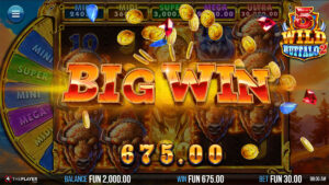 5 Wild Buffalo 2 BigWin