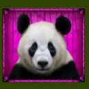 Pandas Run Paytable High Symbol 2