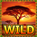 Serengeti Sunset Wild