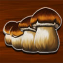 Toutatis Mushroom