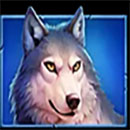 3 Pot Buffalo Wolf