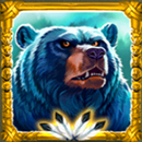 Coywolf Cash Slot Symbol