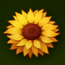 Honey Rush Slot Symbol