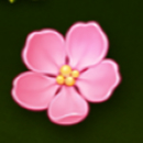 Honey Rush Slot Symbol