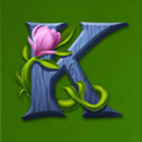 Leprechaun Goes Wild Slot Symbol