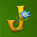 Leprechaun Goes Wild Slot Symbol