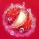 Lucky Durian Symbol 1