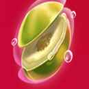 Lucky Durian Symbol 4