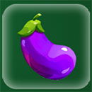 Milk The Cow Eggplant