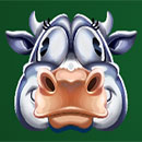 Milk The Cow WhiteCow
