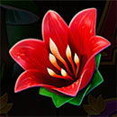 Owls of Wealth Flower