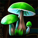 Owls of Wealth Mushroom
