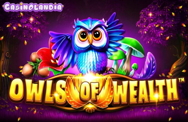 Owls of Wealth by SYNOT Games