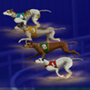 Wildhound Derby Slot Symbol