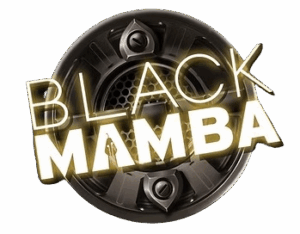 Black Mamba Slot Logo