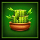 3 Coin Treasures 2 Bamboo