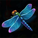 3x Catch Dragonfly