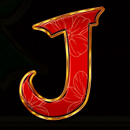 9 Dragon Coins Paytable Symbol 1