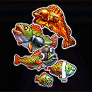 Big Bass Boxing Bonus Round School