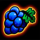 Burning Coins 20 Berry