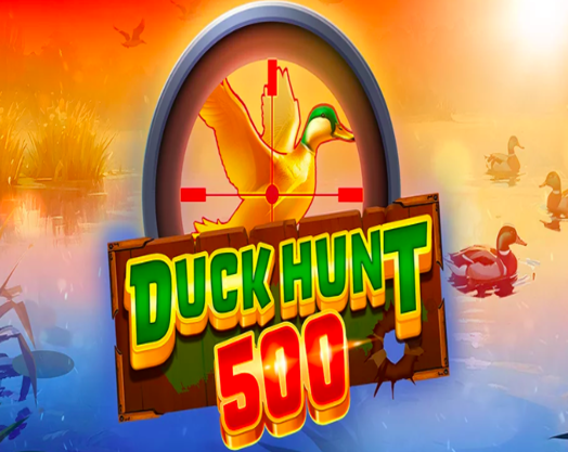 Duck Hunt 500