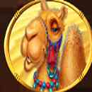 Egyptian Dreams Deluxe Symbol 8