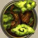 Fenghuang Symbol 5