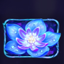 Firefly Frenzy Slot Symbol
