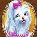 Fortune Dogs Symbol 3