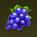 Fruity Force 40 Paytable Symbol 4