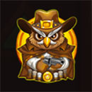 Hoot Shot The Sheriff Owl