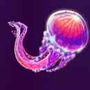 Jellyfish Flow Wild