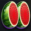 Jewel Stepper Watermelon