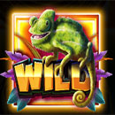 Jumbo Safari Wild