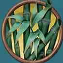 Koi Gate Symbol 4