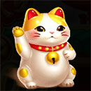 Lucky Tiger 1000 Cat