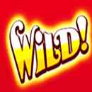 Naughty Santa Wild 3