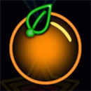 Neon Fruits Orange