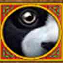 Panda Panda Scatter