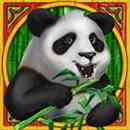 Panda Panda Wild