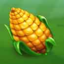 Pumpkin Patch Symbol 6