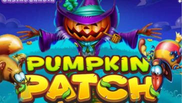 Pumpkin Patch by Habanero