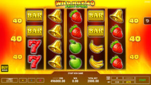 Wild Hot 40 Free Spins Base PLay