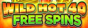 Wild Hot 40 Free Spins Thumbnail Small